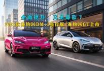 2026款海豹06DM-i旅行版/海豹06GT上市