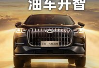 奇瑞新一代瑞虎9上市，油车智能化提速
