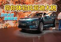 三排大才是真大，如果比亚迪大唐敢卖22万！大7座SUV就炸了