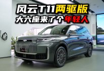 风云T11两驱版：内卷的大六座市场来了个“年轻人”