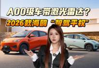 A00级车配激光雷达？2026款海鸥，9万多把激光雷达开回家