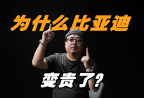 为什么涨价？当海鸥卖到10万，比亚迪真的飘了吗