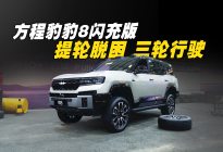 方程豹豹8闪充版，三轮也能开？