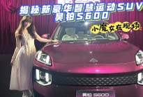车圈小魔女揭秘新豪华智慧运动SUV昊铂S600的三大法宝