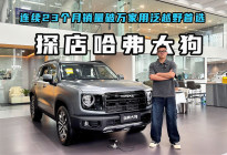 探店哈弗大狗 连续23个月销量破万家用泛越野首选