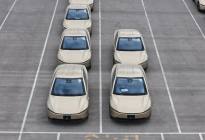 特斯拉Robotaxi获得得州官方授权