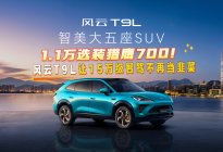 1.1万选装猎鹰700！风云T9L让15万级智驾不再当韭菜
