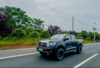 长城炮Hi4-T G318全域长测征程挺进武汉