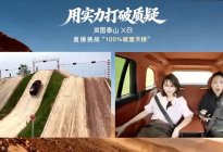 岚图泰山X8极限挑战 让人惊掉下巴 太强了！