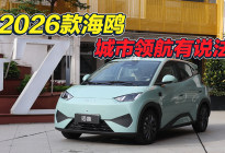 海鸥上天神之眼B，代步车都不讲武德？