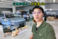 它真的很大！五菱星光L