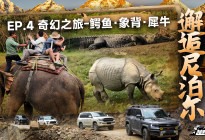 越野征途：邂逅尼泊尔——奇幻之旅-鳄鱼·象背·犀牛