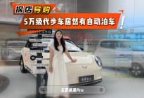 探店五菱缤果Pro：5万级代步车，居然有自动泊车！