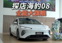 全能大旗舰，比亚迪海豹08怎么样？
