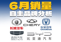 自主品牌6月销量分析，墙内开花墙外香？