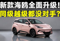 轴距加长动力提升，新款海鸥智驾还有惊喜？