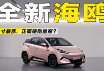 星愿最强对手来了！全新海鸥尺寸大涨，代步车市场要重新洗牌？