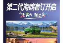 第二代海鸥开启盲订，提供6种配色